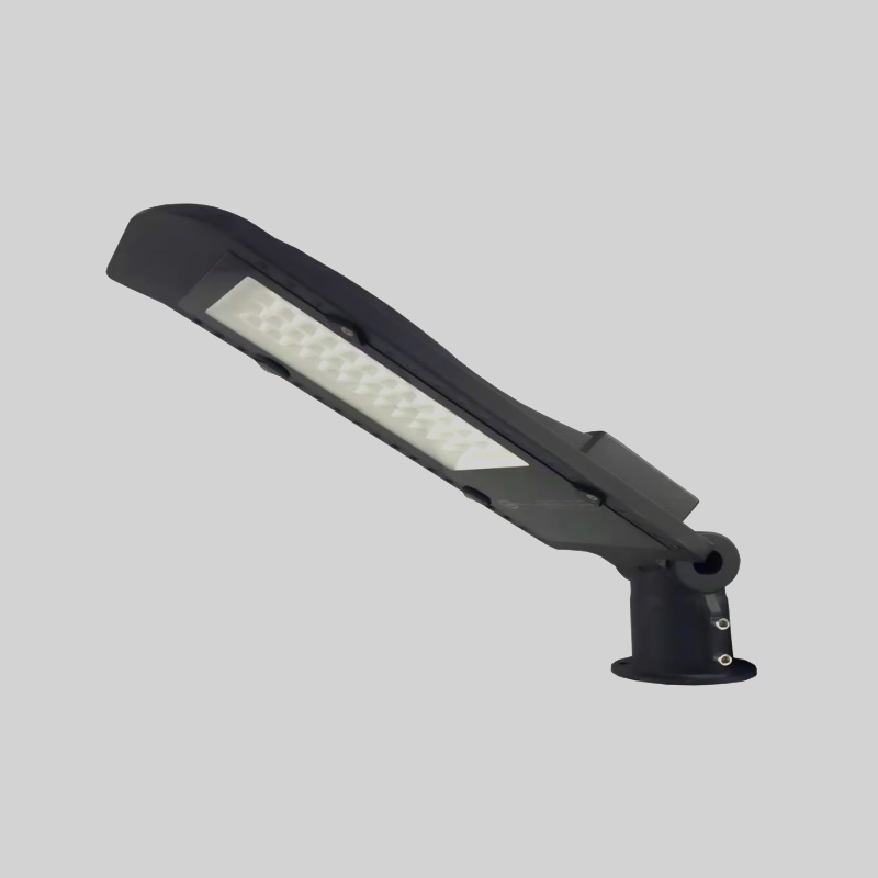 Lampadaire LED Prolight+ 100W±5% / AC80-380V / 130LM/W