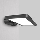 Dark Grey Square Wall LED Light PROLIGHT+