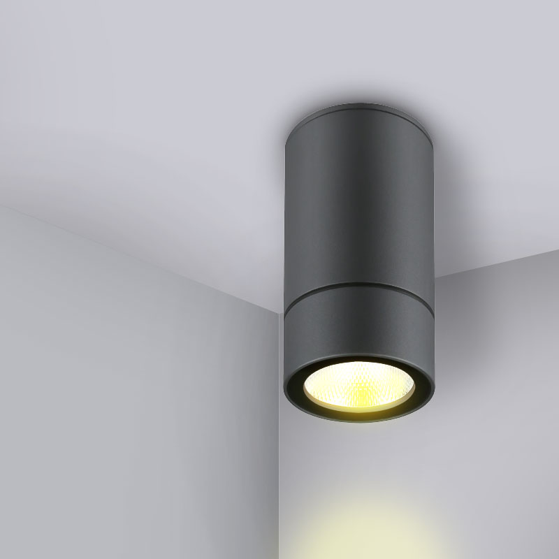 Dark Grey Ceiling LED Light PROLIGHT+ 