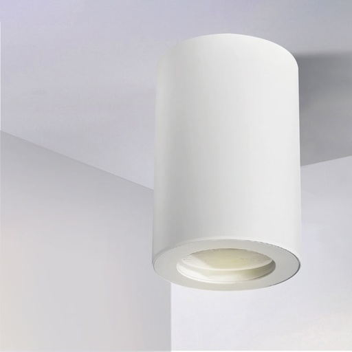 [PRYC351A1622WH] White Surface Mounted Cylindrical PROLIGHT+