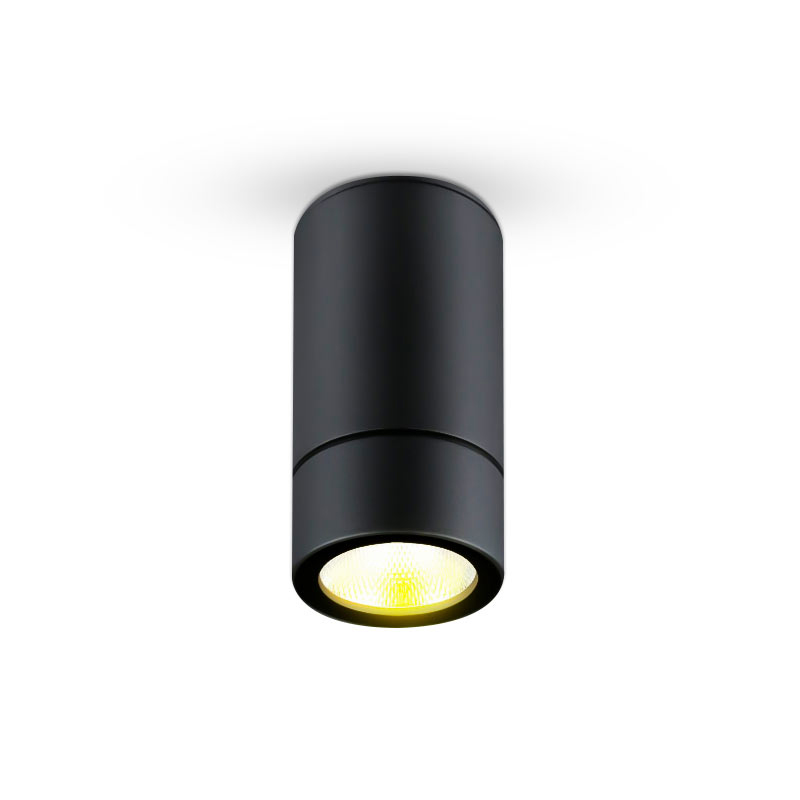 E27 IP 65 PROLIGHT+ Black Aluminum Cylindrical LED Spot