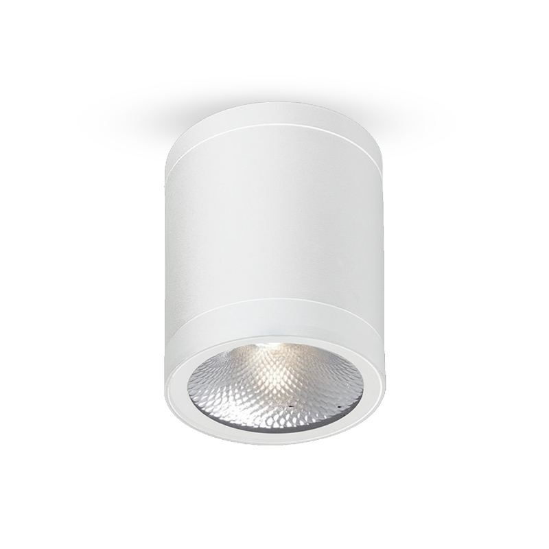 Cylindrical LED Spot White Aluminum 13W/ 6000K/ IP65 PROLIGHT+