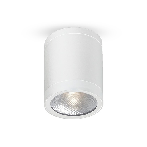 [PRLDCL006CWH] Cylindrical LED Spot White Aluminum 13W/ 6000K/ IP65 PROLIGHT+