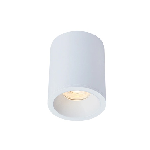 [PRTS5089SDWH] Support de Spot cylindrique Apparent etanche blanc IP65 Prolight+